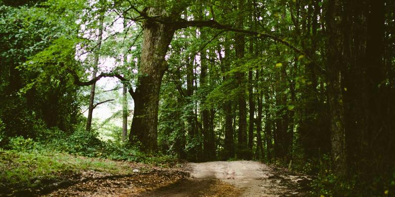 2024年Web开发最佳实践：从技术博客到高效编程的完整指南