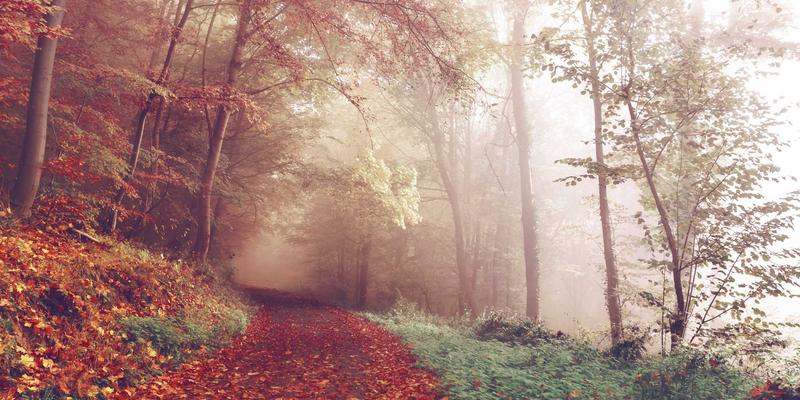 从技术博客到企业级应用：三个网络技术案例的深度剖析