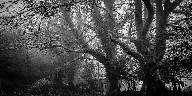 掌握核心网络技术技巧:编程、IT解决方案与软件开发的实战指南