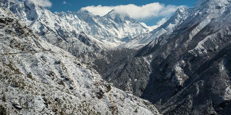 网络技术24：Web开发新趋势与IT解决方案实践指南