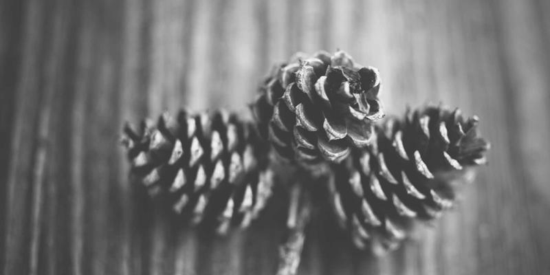 网络技术75:IT解决方案如何通过技术博客赋能现代软件开发