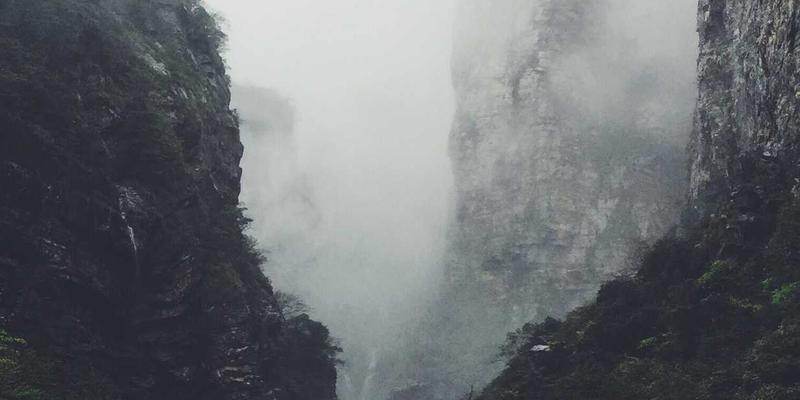 网络技术77：驱动数字化转型的IT解决方案与软件开发新范式