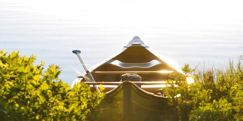 网络技术81：技术博客如何赋能软件开发与编程进阶