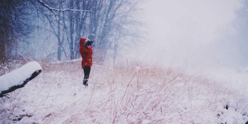 网络技术99：从Web开发到技术博客的深度探索
